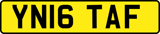 YN16TAF