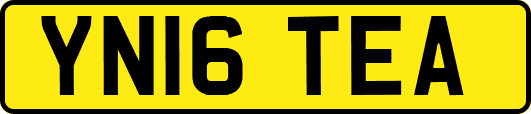 YN16TEA