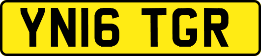 YN16TGR