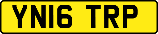 YN16TRP