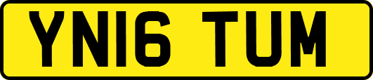 YN16TUM