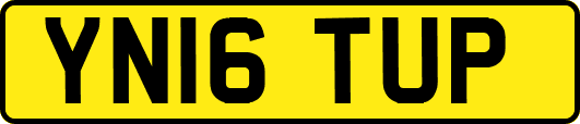 YN16TUP