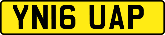 YN16UAP