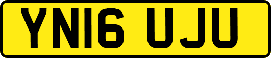 YN16UJU