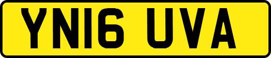 YN16UVA