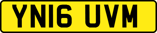 YN16UVM