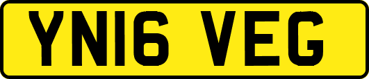 YN16VEG