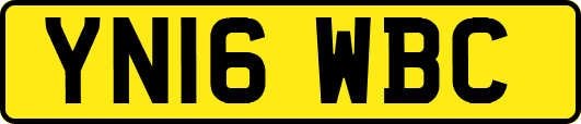 YN16WBC