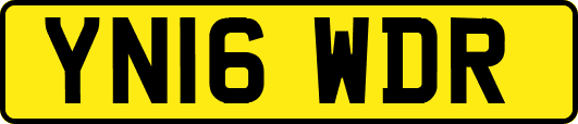 YN16WDR
