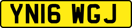 YN16WGJ