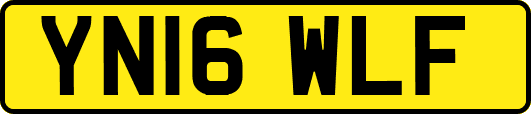 YN16WLF