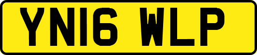 YN16WLP