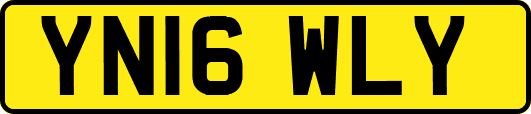 YN16WLY