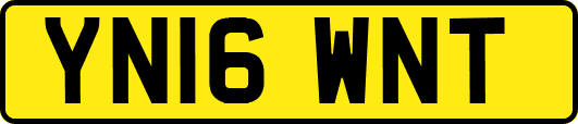 YN16WNT