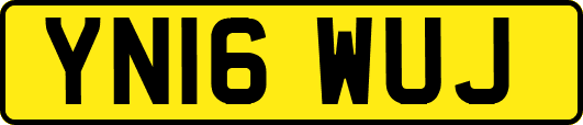 YN16WUJ