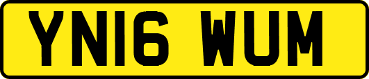 YN16WUM