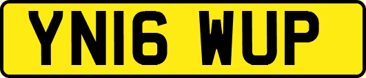 YN16WUP