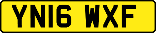 YN16WXF