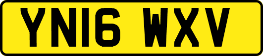 YN16WXV