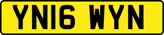 YN16WYN