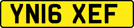 YN16XEF