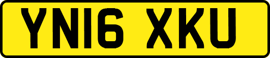 YN16XKU
