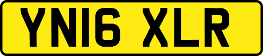 YN16XLR