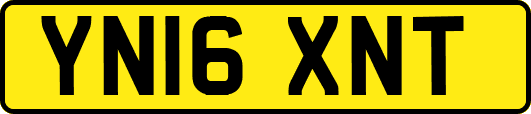YN16XNT