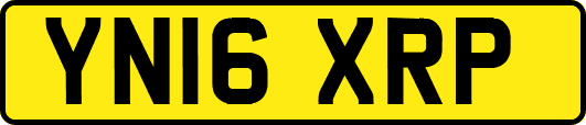 YN16XRP