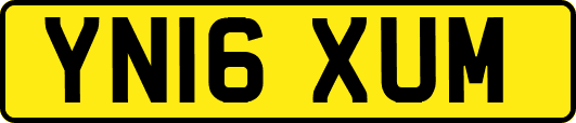 YN16XUM