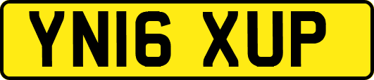 YN16XUP