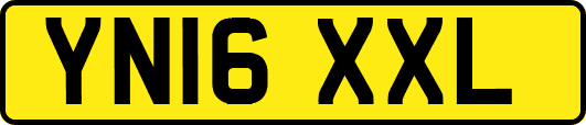 YN16XXL
