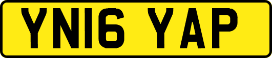 YN16YAP