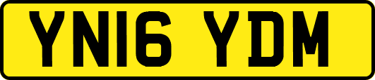 YN16YDM