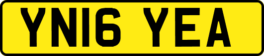 YN16YEA