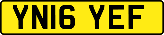 YN16YEF