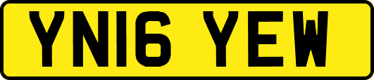 YN16YEW