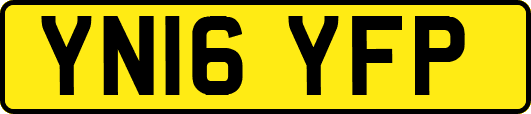 YN16YFP