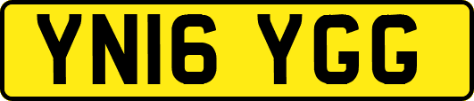 YN16YGG