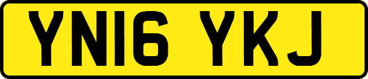 YN16YKJ