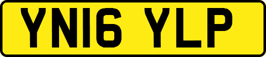 YN16YLP
