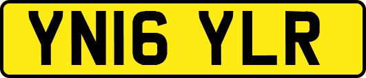 YN16YLR