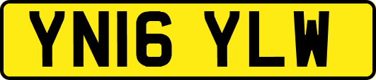 YN16YLW