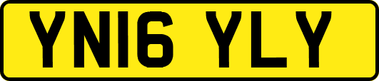 YN16YLY