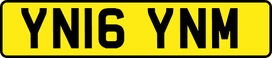 YN16YNM