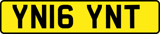 YN16YNT