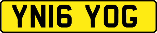 YN16YOG