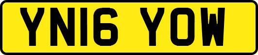 YN16YOW