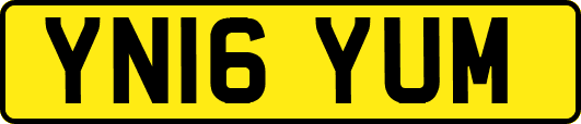 YN16YUM