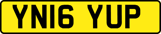 YN16YUP